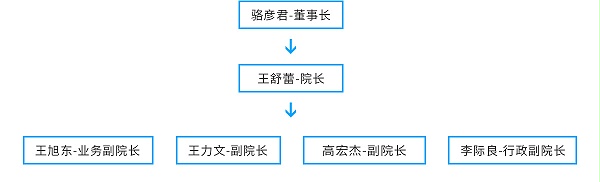 领导团队