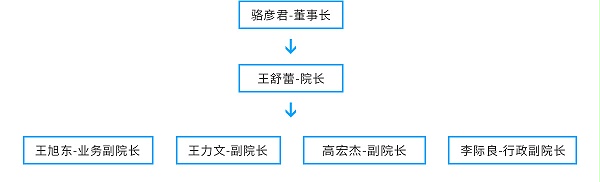 领导团队