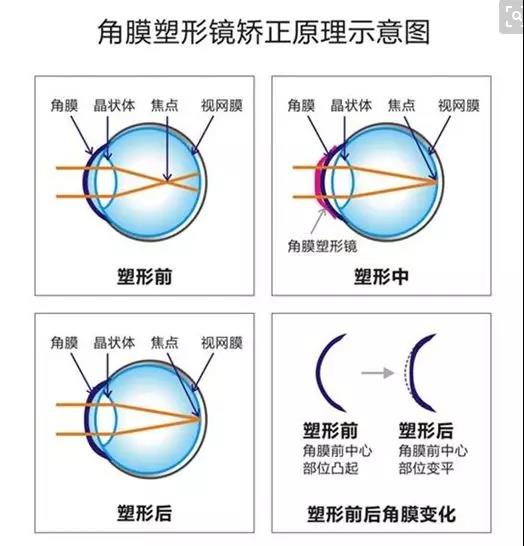 微信图片_20190420084723