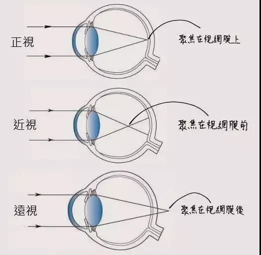 微信图片_20190420084627