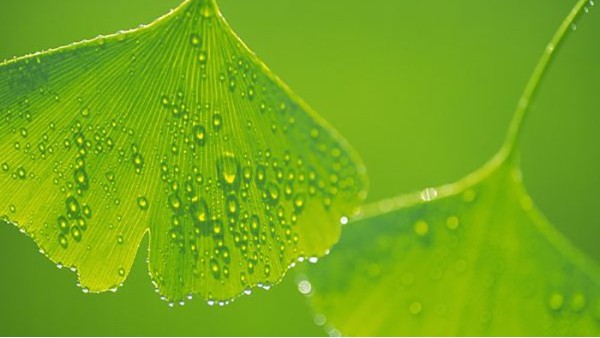 总是想眨眼是怎么回事？可能是这5种眼病找上门